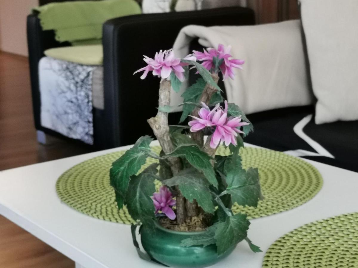 Zoeldlomb Apartman Siófok Esterno foto